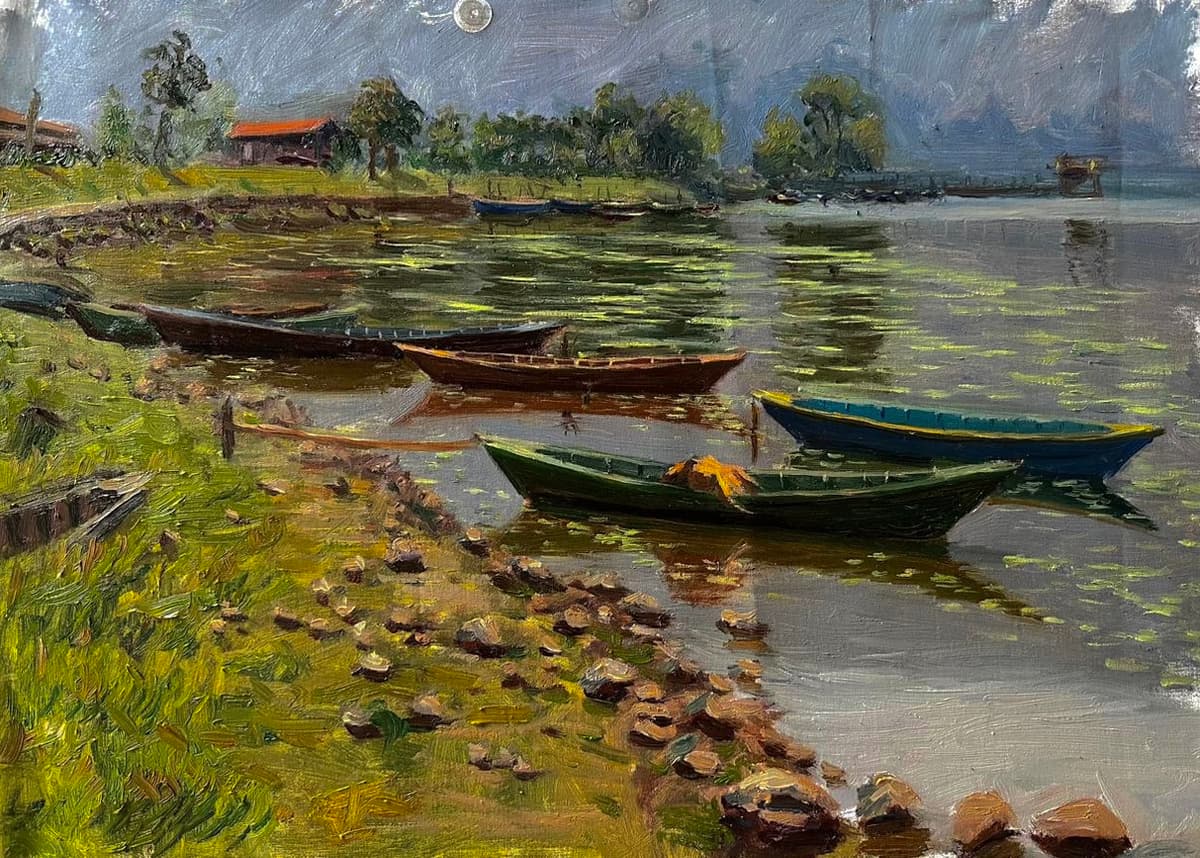 Boats on Fewa lake, Pokhara